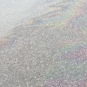 Meet your Posher, Jackson